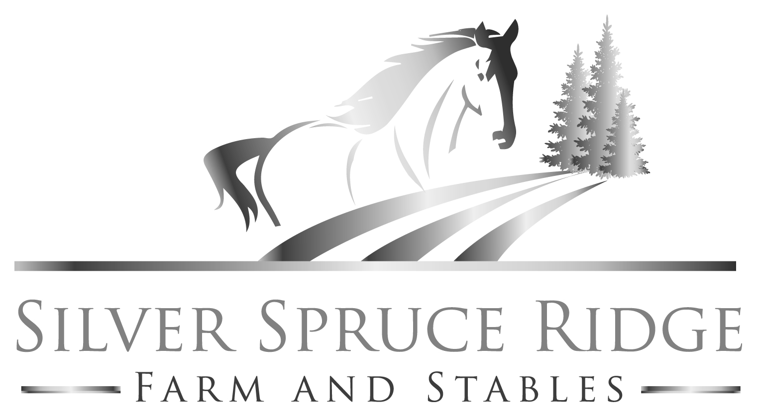 https://centralcatholicsoccer.com/wp-content/uploads/sites/684/2025/08/SilverSpruce-grayscale-2.jpg